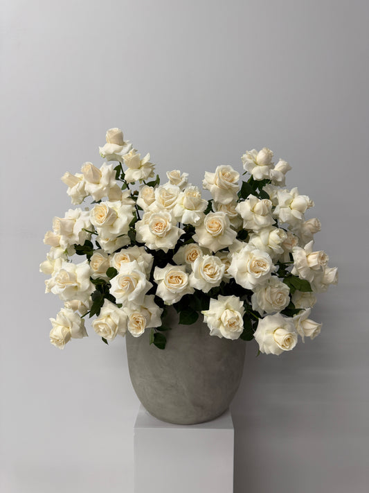 Deluxe Rose Pot