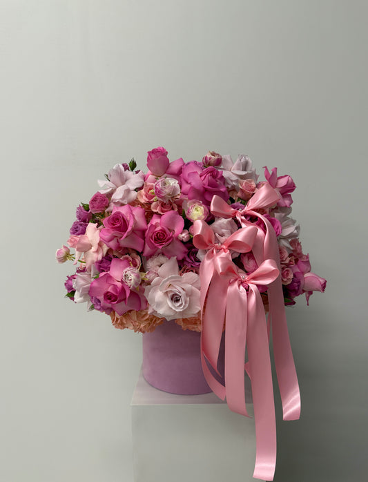 ‘Lil Bow Pink