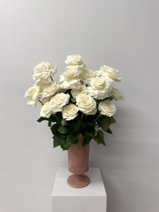 Timeless Elegance- 2 Dozen