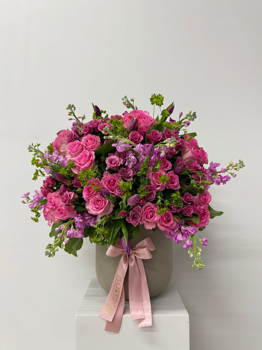 Royal Rose Bush